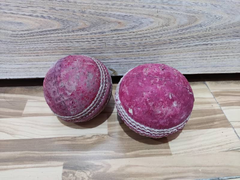 Cricket Kit 5