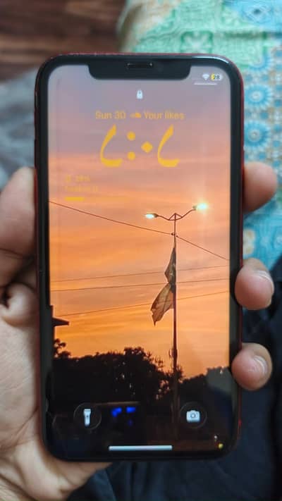 Apple iPhone 11