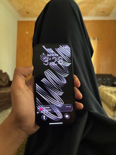 Apple iPhone 13 (FU)