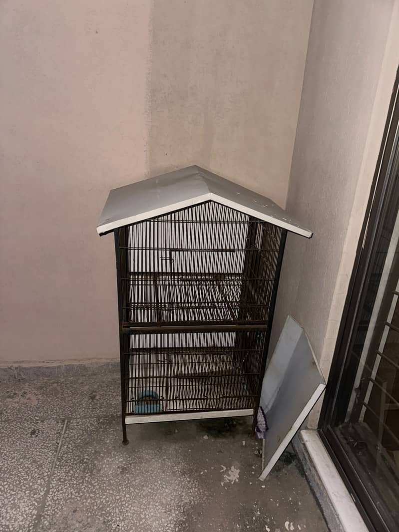 Bird cage 0