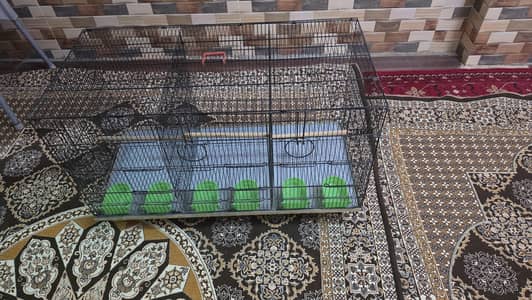 Master 3 portion cage