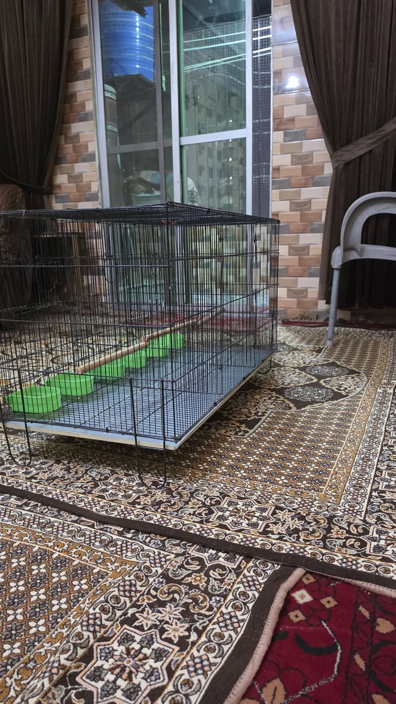 Master 3 portion cage 1