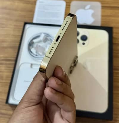 Apple iPhone 13 Pro Max