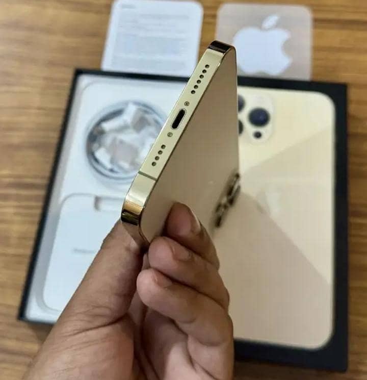 Apple iPhone 13 Pro Max 0