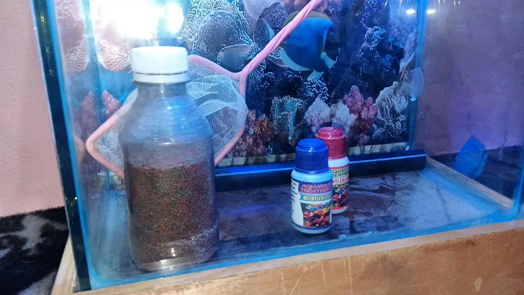 aquarium for sale with lite covar feeddalvi jali home delivery av