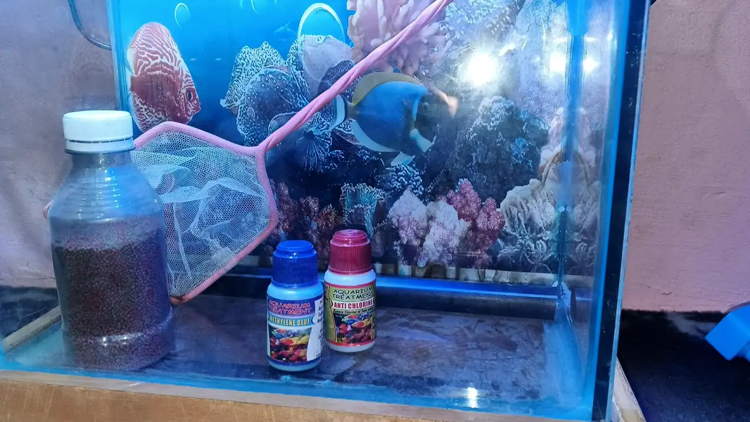aquarium for sale with lite covar feeddalvi jali home delivery av — photo 2