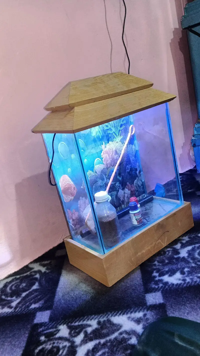 aquarium for sale with lite covar feeddalvi jali home delivery av — photo 3