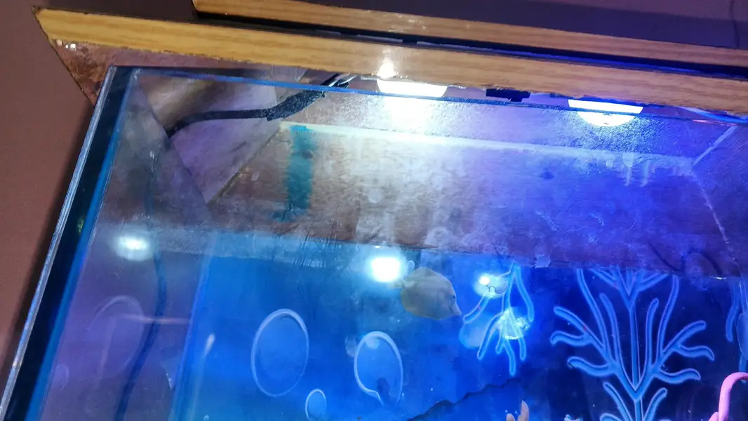 aquarium for sale with lite covar feeddalvi jali home delivery av — photo 4