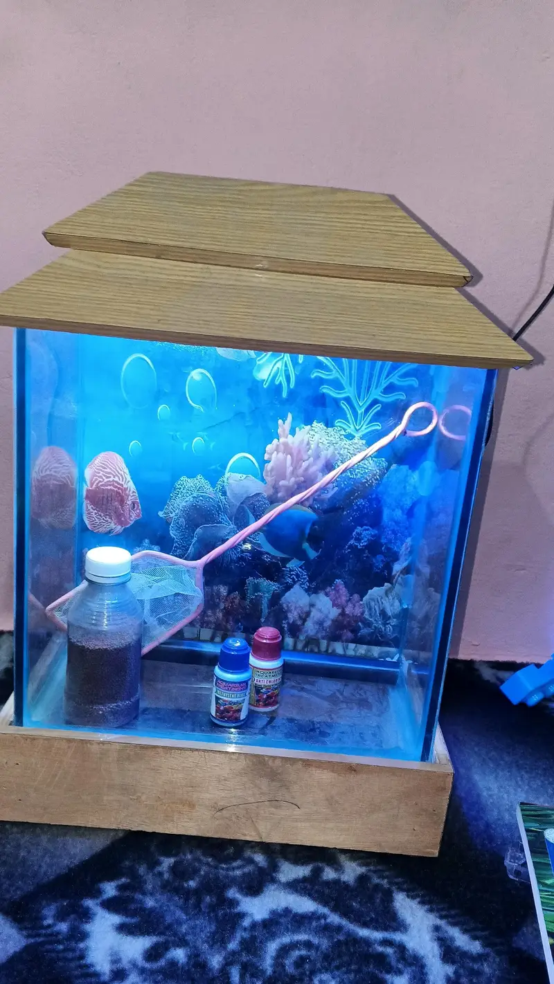 aquarium for sale with lite covar feeddalvi jali home delivery av — photo 5