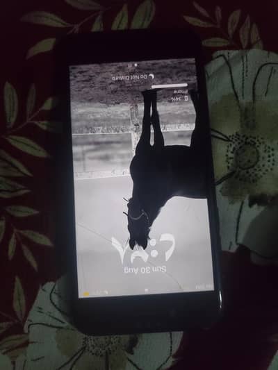 Apple iPhone SE 2020