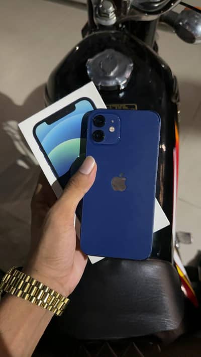 iphone 12