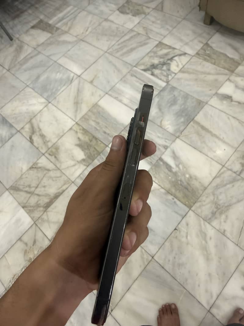 Apple iPhone 13 Pro Max 2