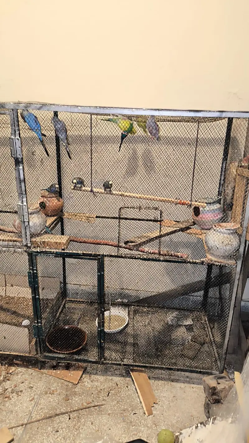 cage for urgent sale — photo 2