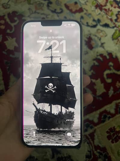 Apple iPhone 13 Pro Max