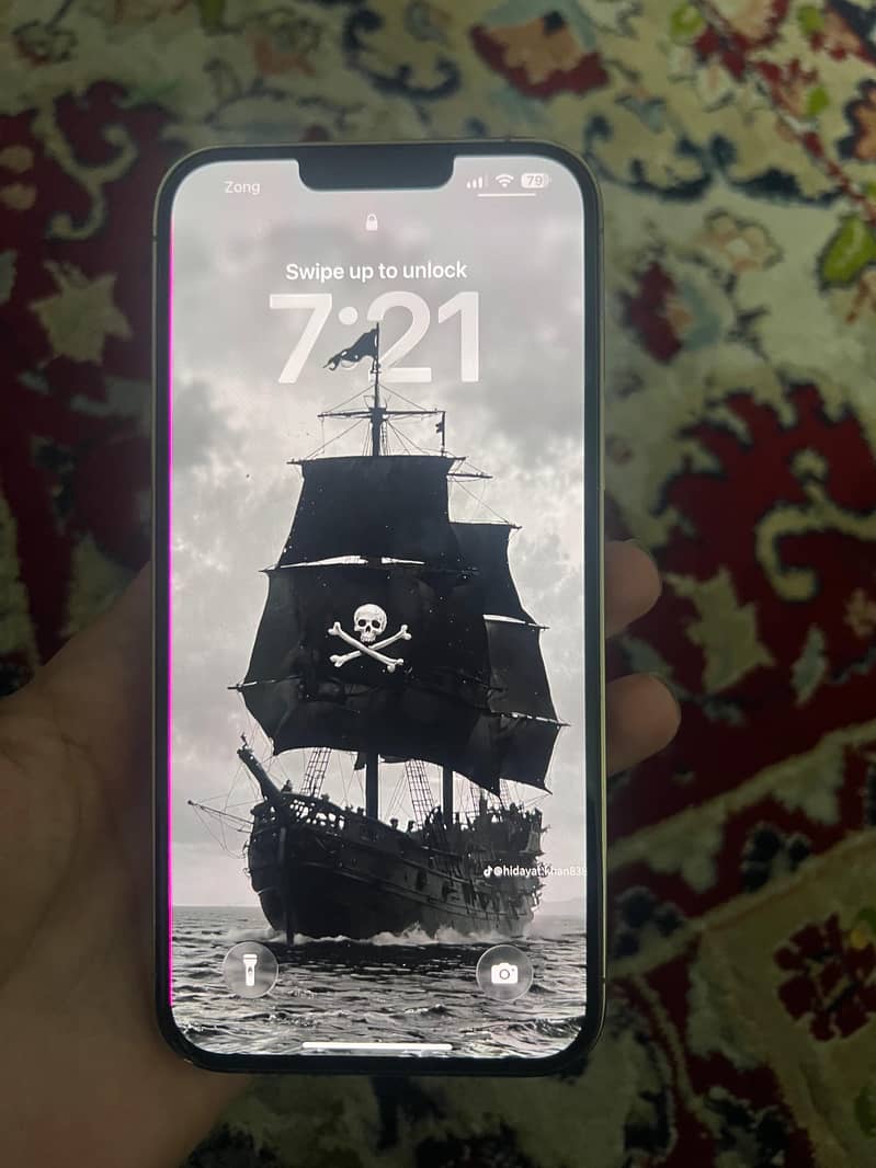 Apple iPhone 13 Pro Max 0