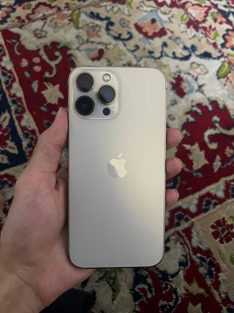Apple iPhone 13 Pro Max 1