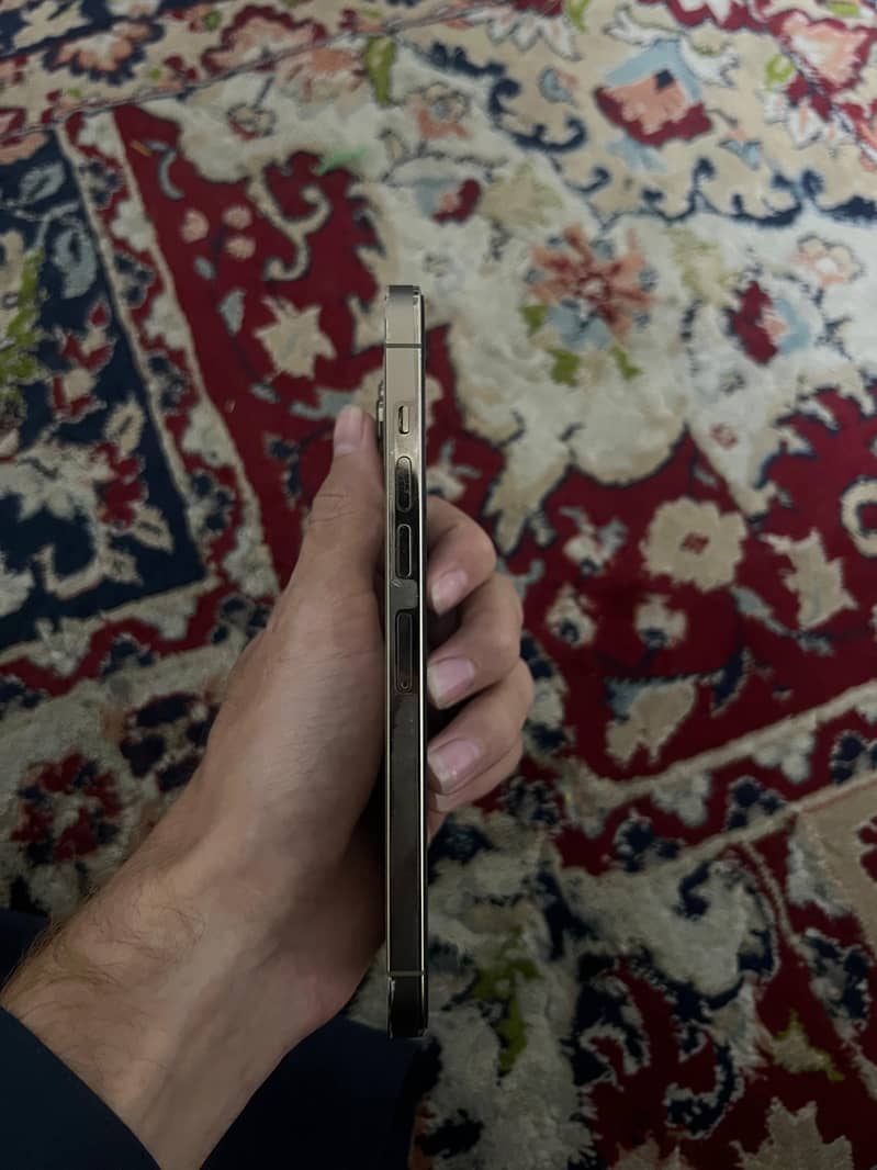Apple iPhone 13 Pro Max 2