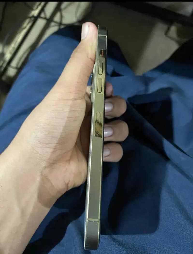 Apple iPhone 12 Pro Max 1