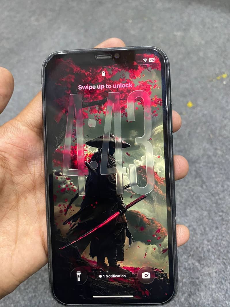 Apple iPhone 11 0