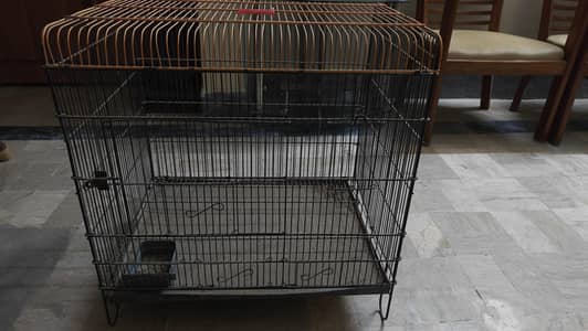 Birds Cage