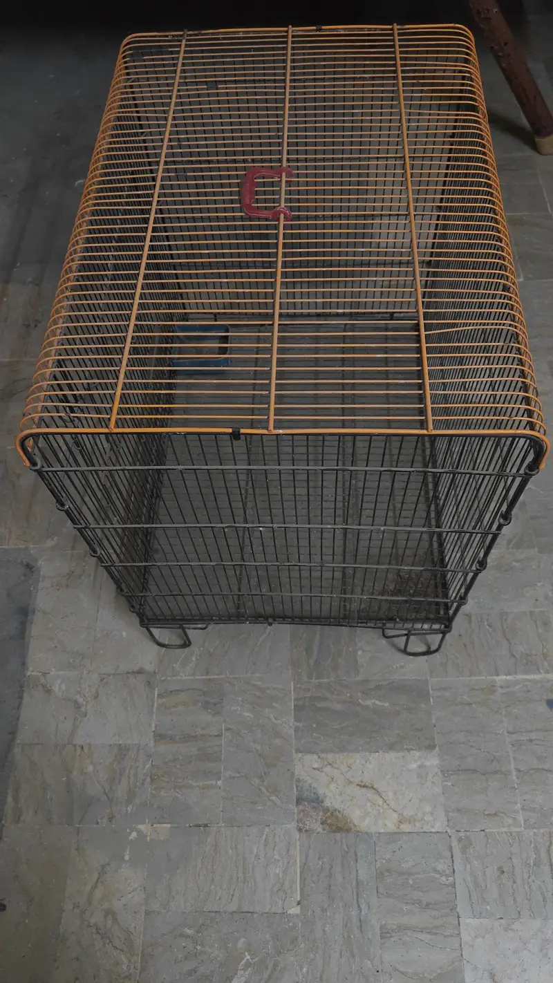 Birds Cage — photo 2