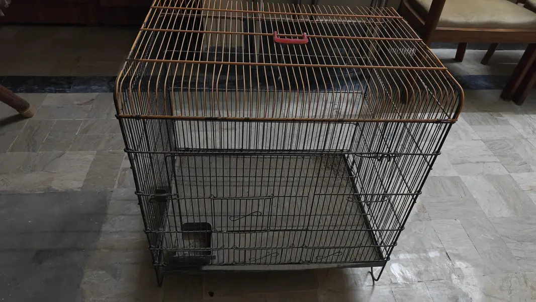 Birds Cage — photo 3