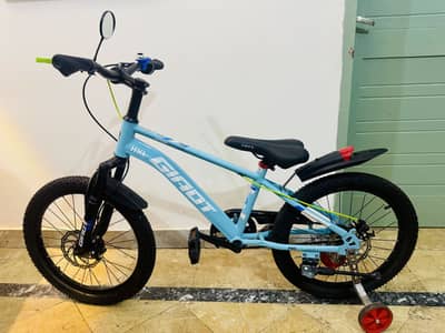 Brand new HKL bicycle for sale