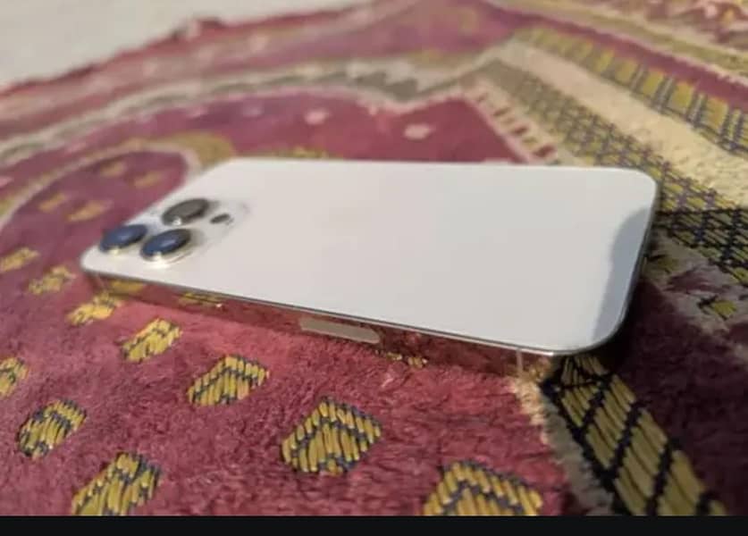 Apple iPhone 13 Pro Max 1