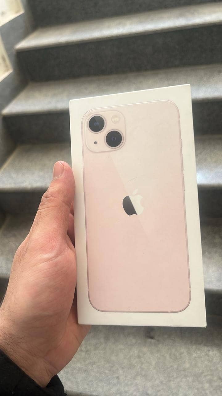 Apple iPhone 13 12