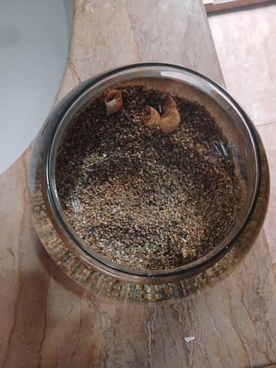glass small aquarium for sale