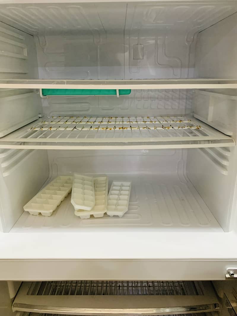 Orient Large Fridge Latest Model 3