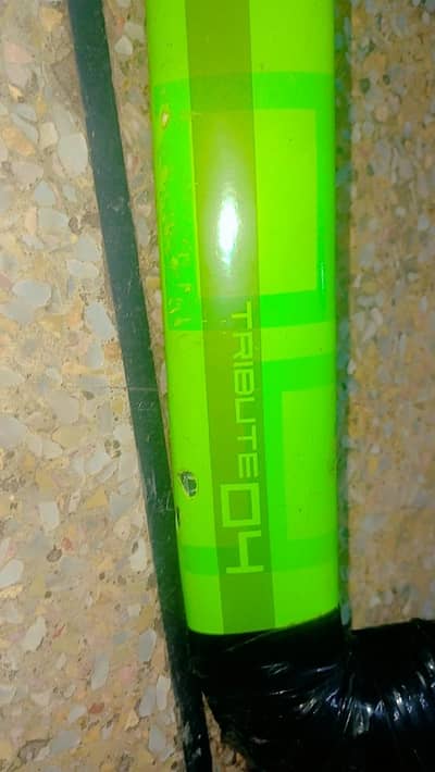 hockey stick