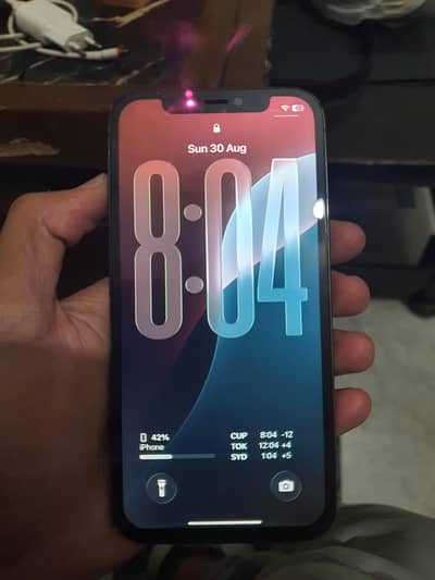 Apple iPhone 12 Pro