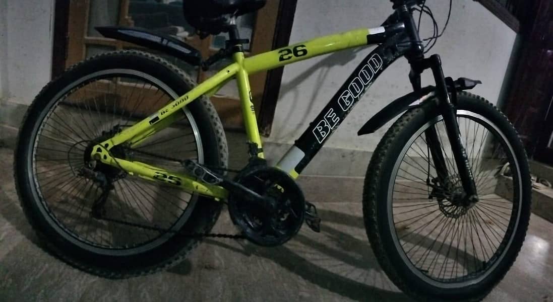 BeGood bicycle 2