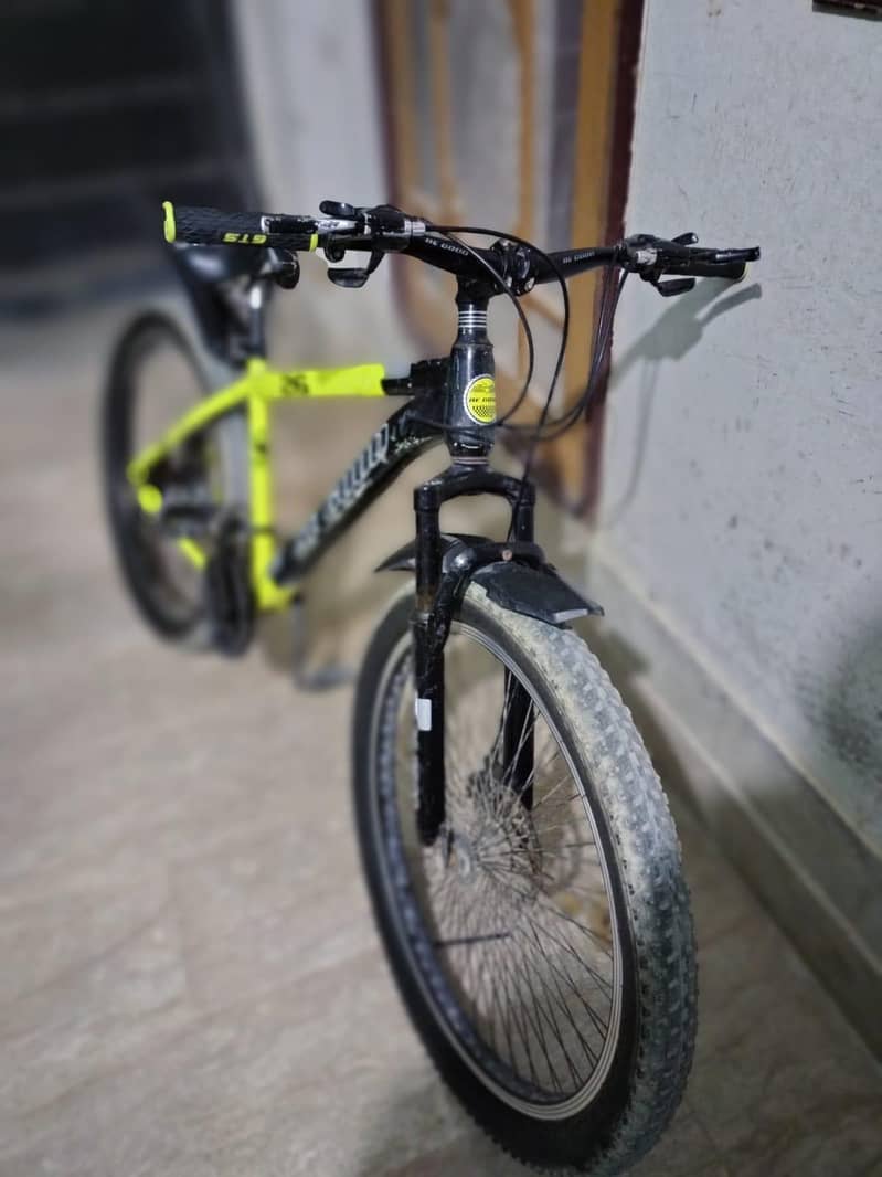 BeGood bicycle 3