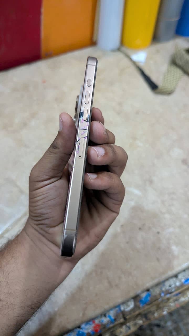 Apple iPhone 16 Pro Max 1