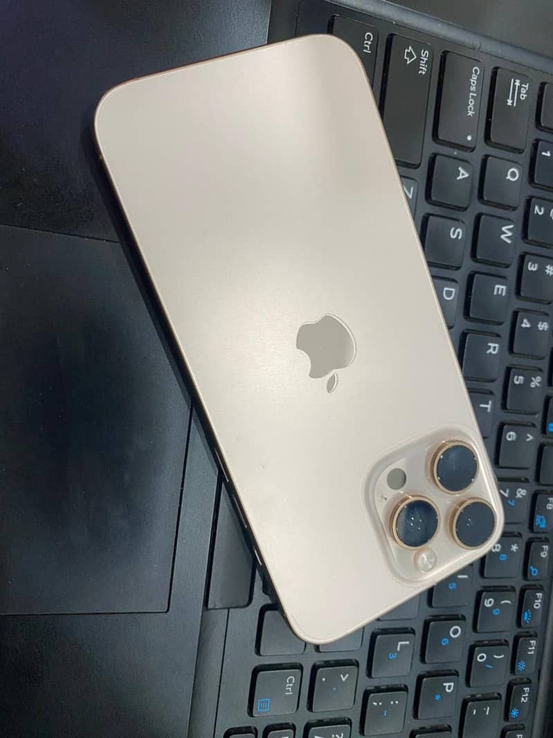 Apple iPhone 16 Pro Max 2