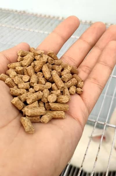 Rabbit food . ALPHA ALPHA HAY AND FEED