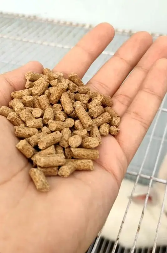 Rabbit food . ALPHA ALPHA HAY AND FEED