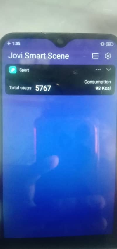 Vivo Y17
