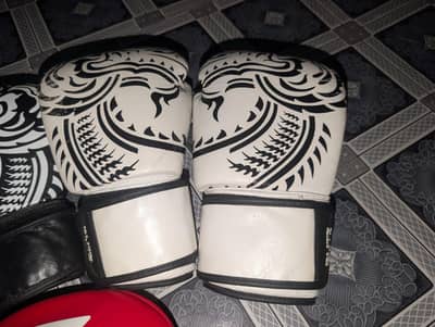 Blitz Boxing Gloves