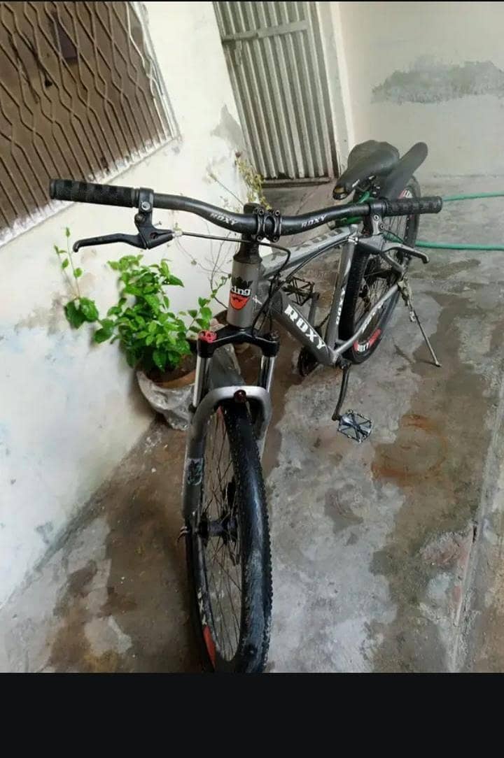 full size cycle Roxy 1