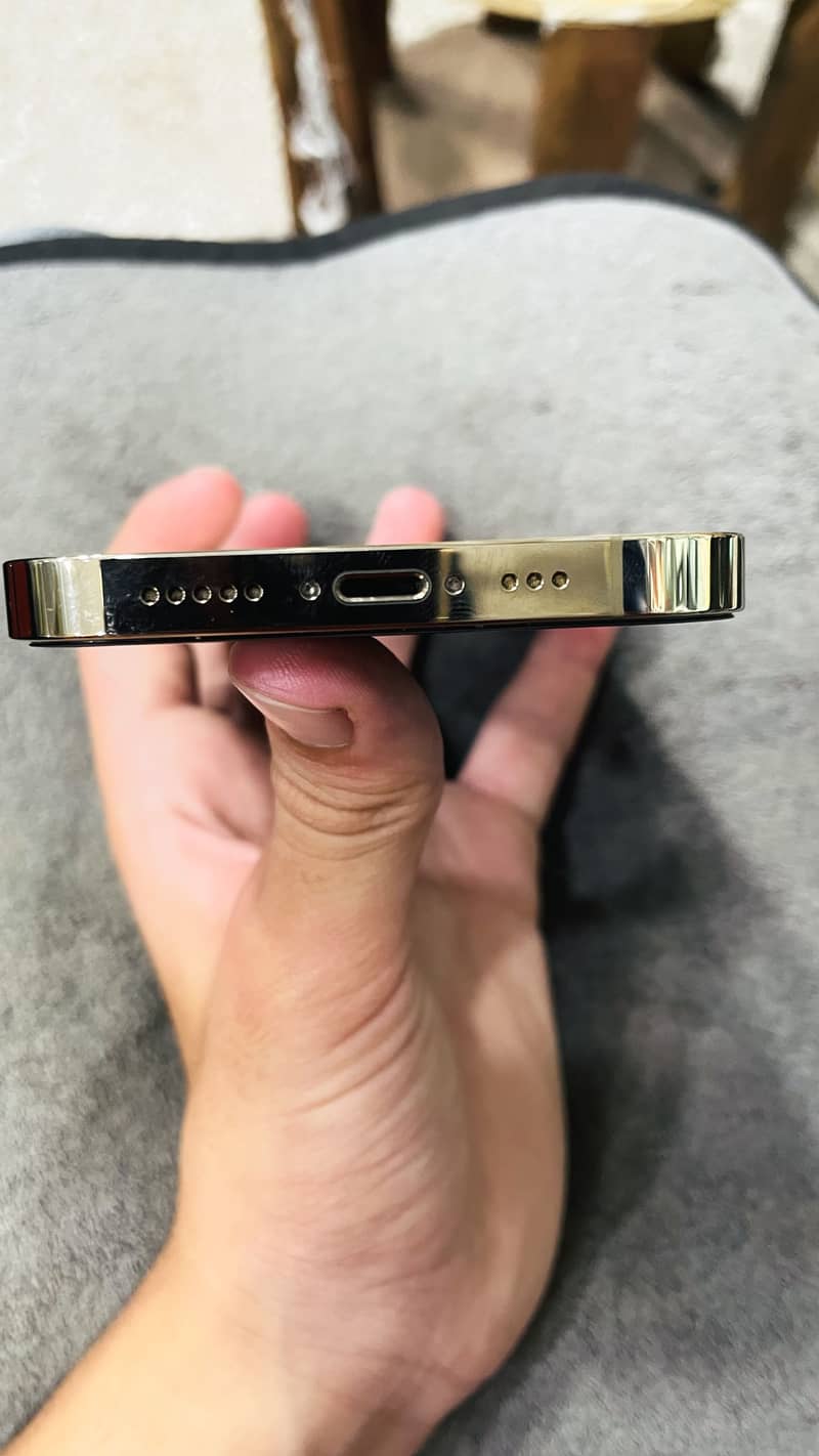 Apple iPhone 13 Pro 1