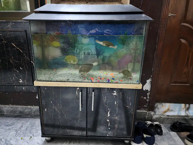 30×12 size almost good condition — photo 3