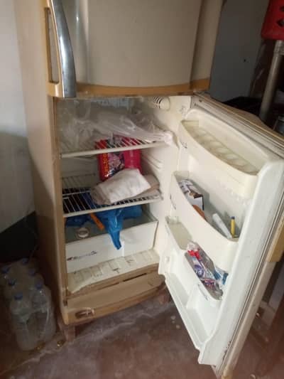 pel fridge