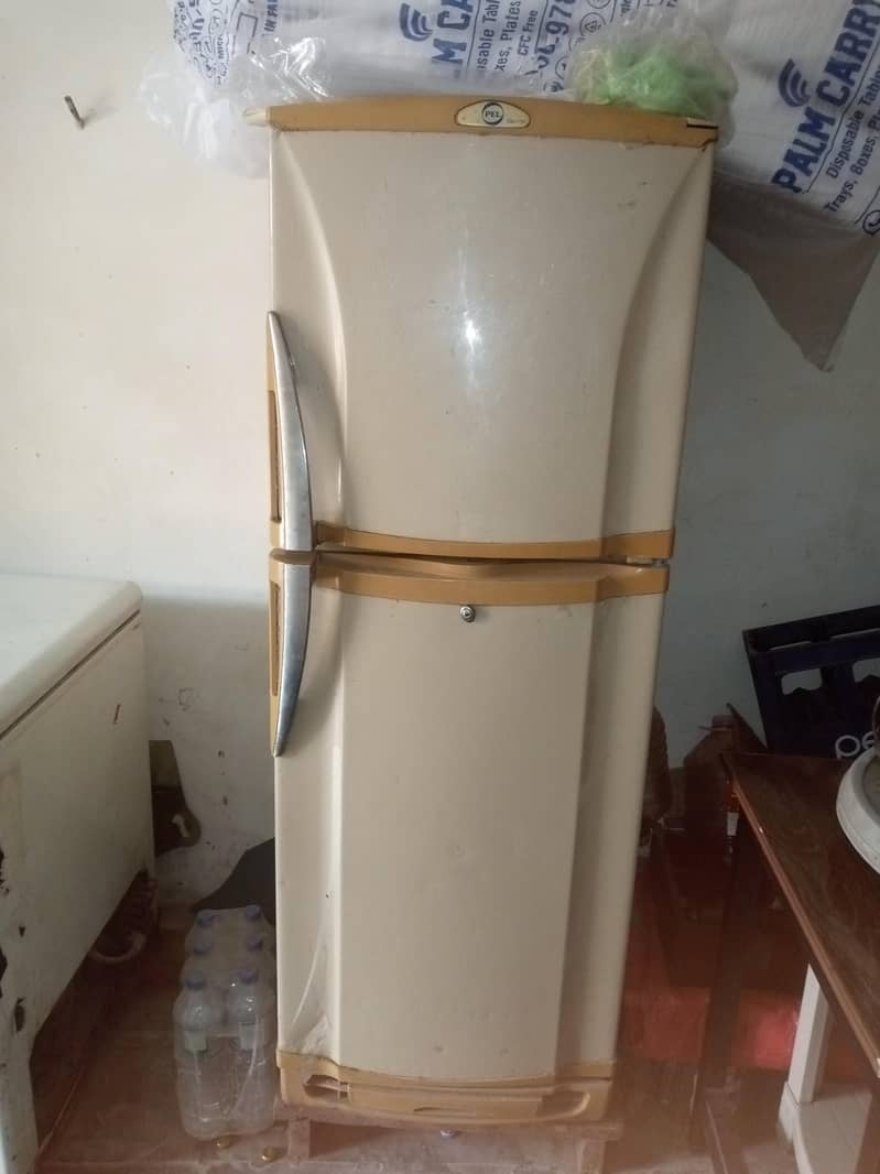 pel fridge 1