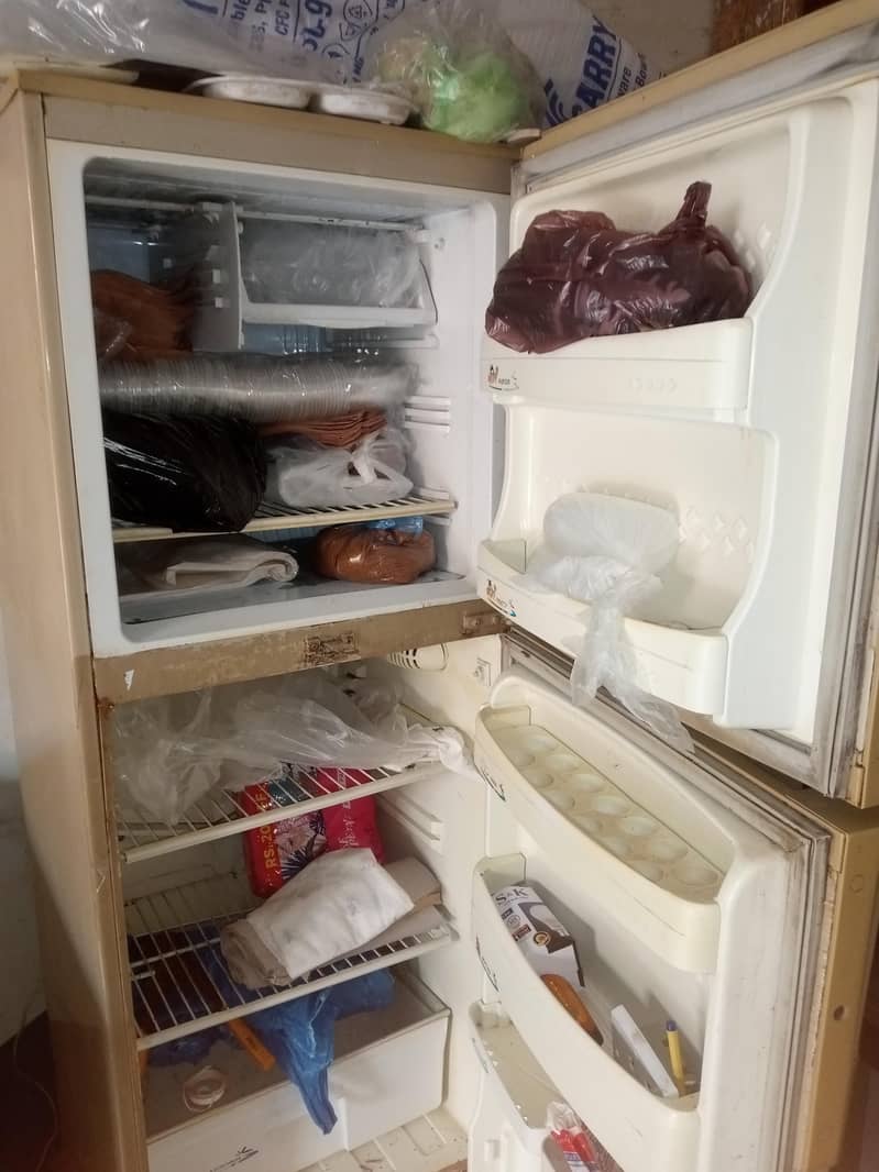 pel fridge 2