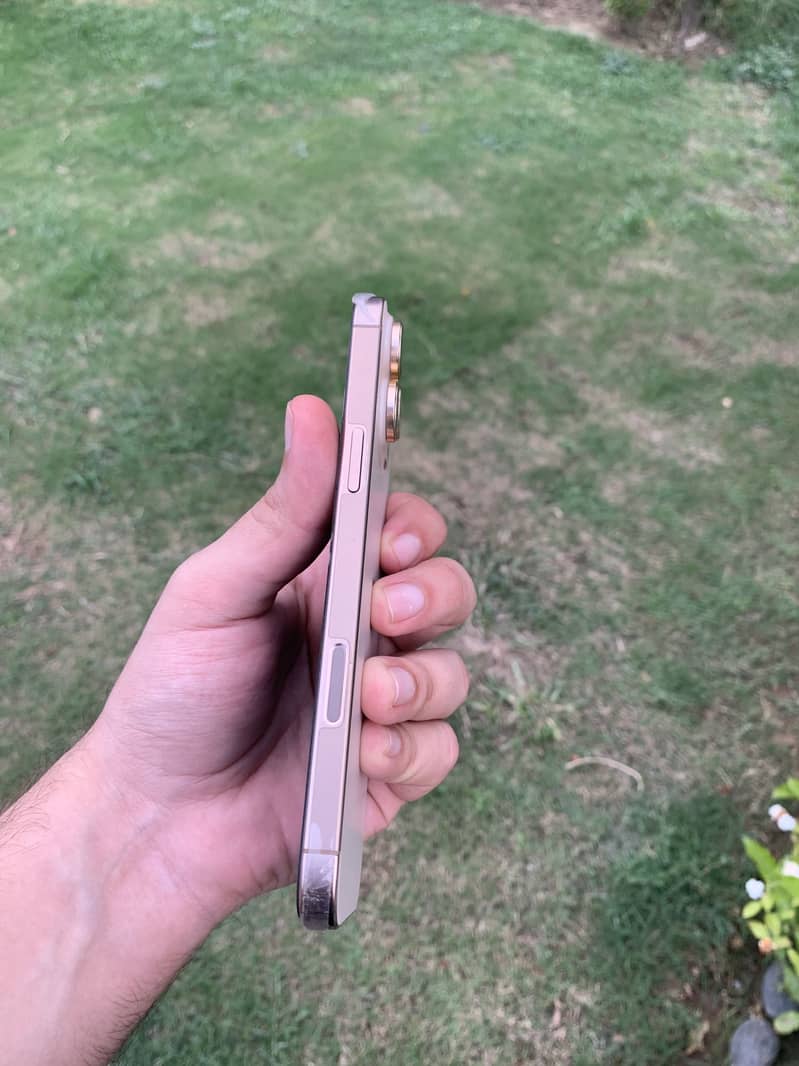 Apple iPhone 16 Pro Max 2