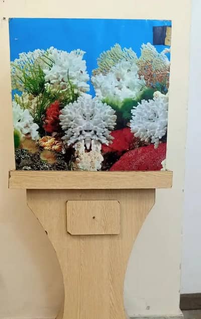 Fish Aquarium for Sale – Complete Setup