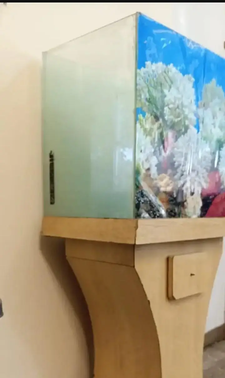 Fish Aquarium for Sale – Complete Setup — photo 2